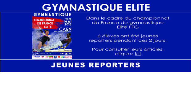 You are currently viewing CF GYMNASTIQUE ARTISTIQUE ÉLITE FFG