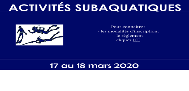 You are currently viewing ACTIVITÉS SUBAQUATIQUES